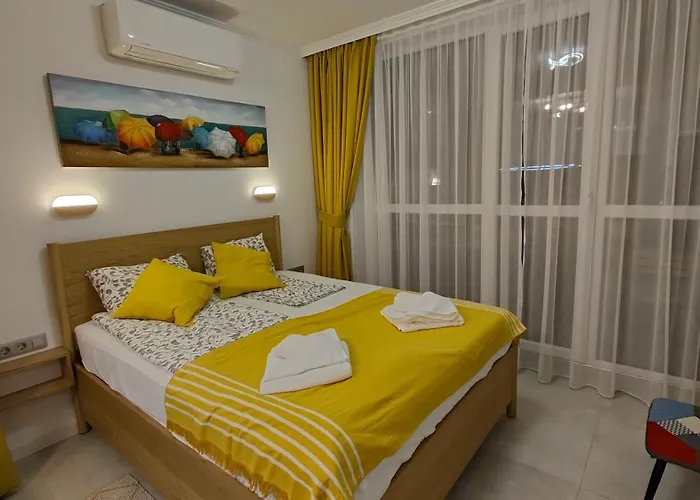 Vivid Sea And Luxury 2 2