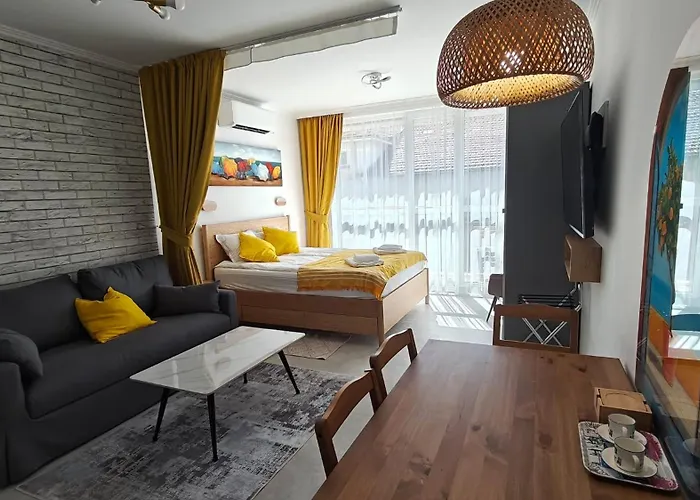 Vivid Sea And Luxury 2 2